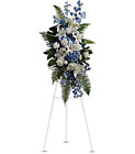 Ocean Breeze Spray Cottage Florist Lakeland Fl 33813 Premium Flowers lakeland